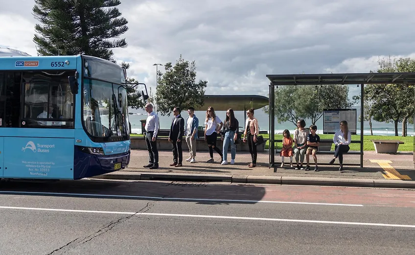 Public Buses
