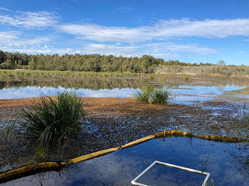 Muddy Lake